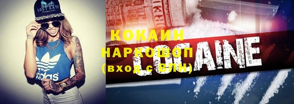 дживик Саяногорск