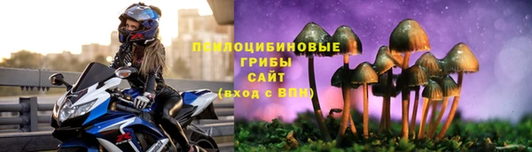 дживик Саяногорск