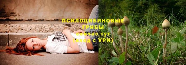 дживик Саяногорск
