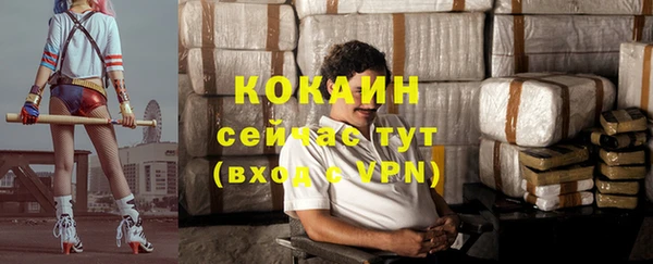 дживик Саяногорск