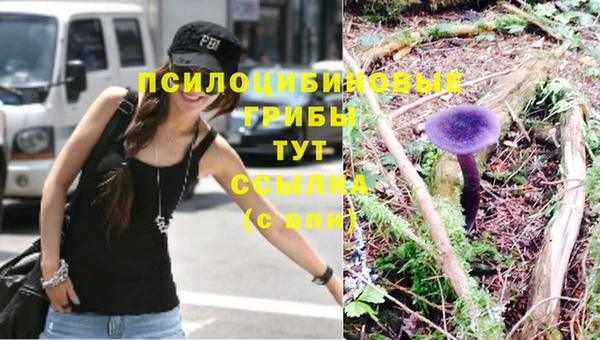 экстази Сафоново