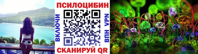 купить закладку  Реутов  Галлюциногенные грибы MAGIC MUSHROOMS 